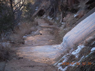40 972. Zion National Park - Observation Point hike - icy slippery part