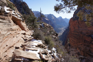 108 972. Zion National Park - Brad's pictures - Angels Landing hike