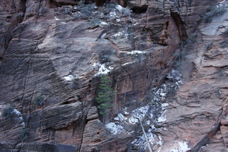 137 972. Zion National Park - Brad's pictures - Angels Landing hike