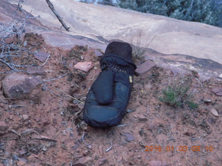 11 973. Zion National Park - Canyon Overlook hike - somebody's glove
