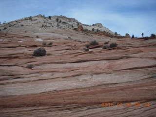 Zion National Park - layered slickrock