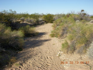 Alamo Lake - our table