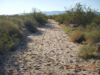 Alamo Lake run