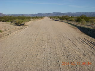 Alamo Lake run