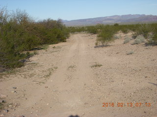 Alamo Lake run