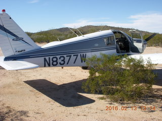 Motown - Arizona Flying Circus - N8377W in the bushes