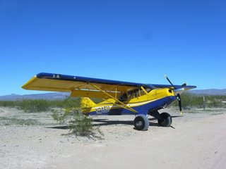 Laura flying in N8377W at Alamo Lake