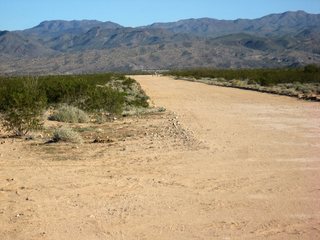 Alamo Lake pictures - runway