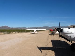 395 98d. Alamo Lake pictures