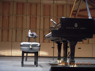 Scottsdale - bench and piano