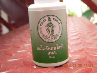 56 98s. Bangkok - Phisit's place - bug ointment