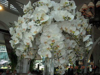 149 98v. Singapore flowers