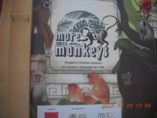 211 98v. Singapore more than monkeys sign