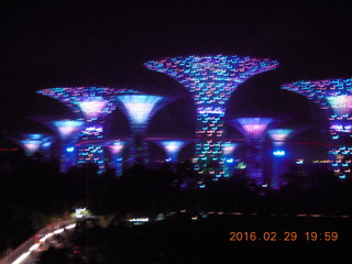 232 98v. Singapore lights