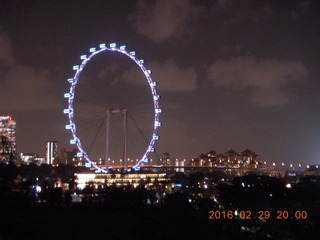 234 98v. Singapore ferris wheel
