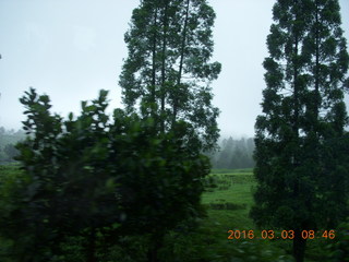 36 993. Indonesia countryside