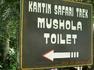 70 993. Indonesia - toilet sign