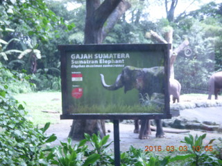 75 993. Indonesia Safari ride sign