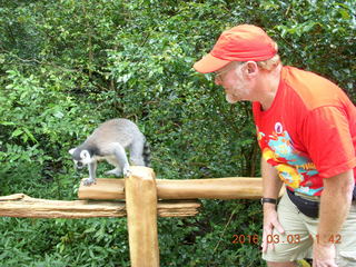 378 993. Indonesia Baby Zoo - Adam and lemur