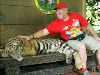 382 993. Indonesia Baby Zoo - Adam petting a tiger