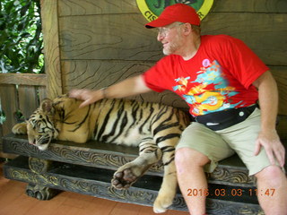 385 993. Indonesia Baby Zoo - Adam petting a tiger