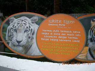 401 993. Indonesia Baby Zoo - tiger sign