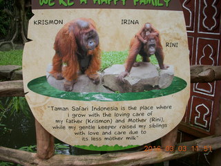 404 993. Indonesia Baby Zoo - oranguan sign