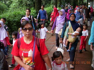 411 993. Indonesia Baby Zoo crowd