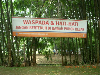 444 993. Indonesia Bogur Botanical Garden sign
