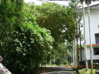 446 993. Indonesia Bogur Botanical Garden