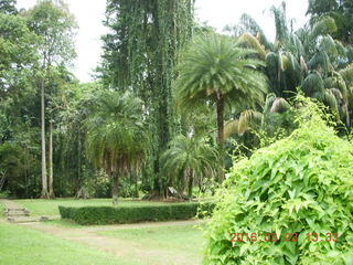 454 993. Indonesia Bogur Botanical Garden
