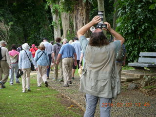 464 993. Indonesia Bogur Botanical Garden - taking a picture straight up