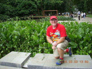 470 993. Indonesia Bogur Botanical Garden- Adam