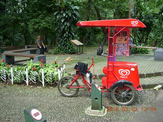 479 993. Indonesia Bogur Botanical Garden food cart