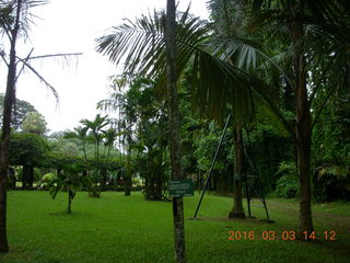 506 993. Indonesia Bogur Botanical Garden