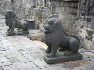 172 994. Indonesia - Borobudur temple - dogs/lions