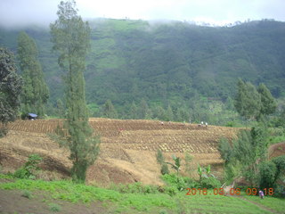 38 996. Indonesia - drive to Mt. Bromo
