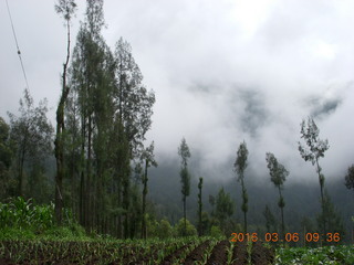 49 996. Indonesia - drive to Mt. Bromo