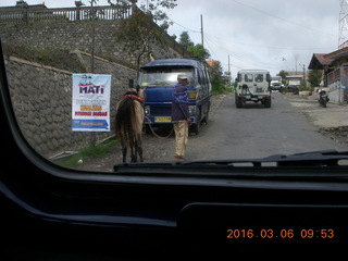 76 996. Indonesia - Jeep drive to Mt. Bromo - horse