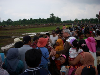 269 996. Indonesia - cow racing