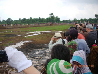 274 996. Indonesia - cow racing