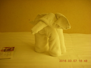 8 997. folded-towel elephant