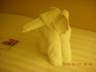 9 997. folded-towel elephant