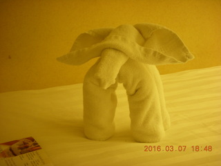 12 997. folded-towel elephant