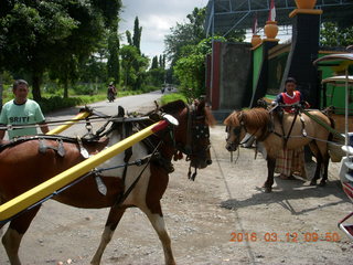 35 99c. Indonesia - Lombok - horse-drawn carriage ride