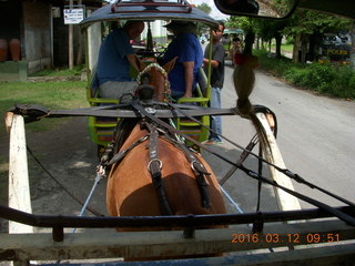 36 99c. Indonesia - Lombok - horse-drawn carriage ride