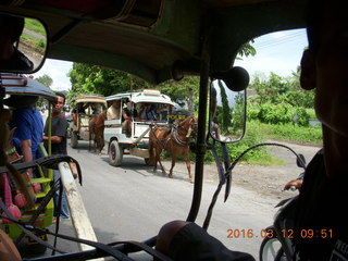 37 99c. Indonesia - Lombok - horse-drawn carriage ride