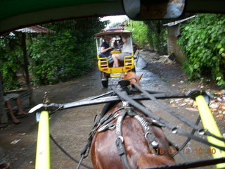 58 99c. Indonesia - Lombok - horse-drawn carriage ride back