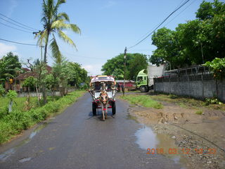 62 99c. Indonesia - Lombok - horse-drawn carriage ride back