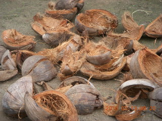 42 99d. Indonesia - Bali - Tenganan village - coconut husks